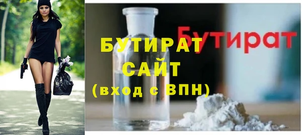 шишки Надым