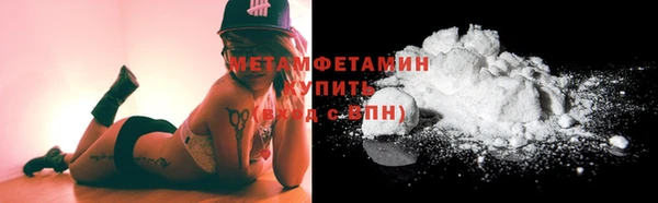 шишки Надым