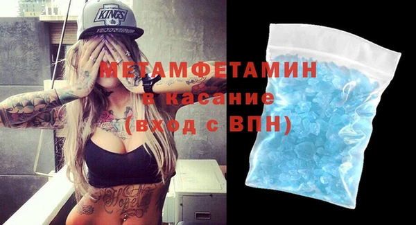 шишки Надым