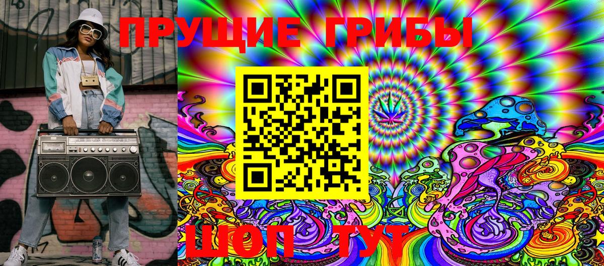 Псилоцибиновые грибы Psilocybine cubensis  Калининград 