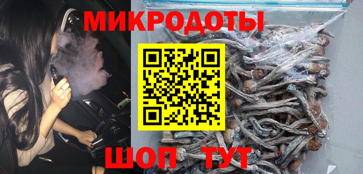 Галлюциногенные грибы Psilocybine cubensis Калининград