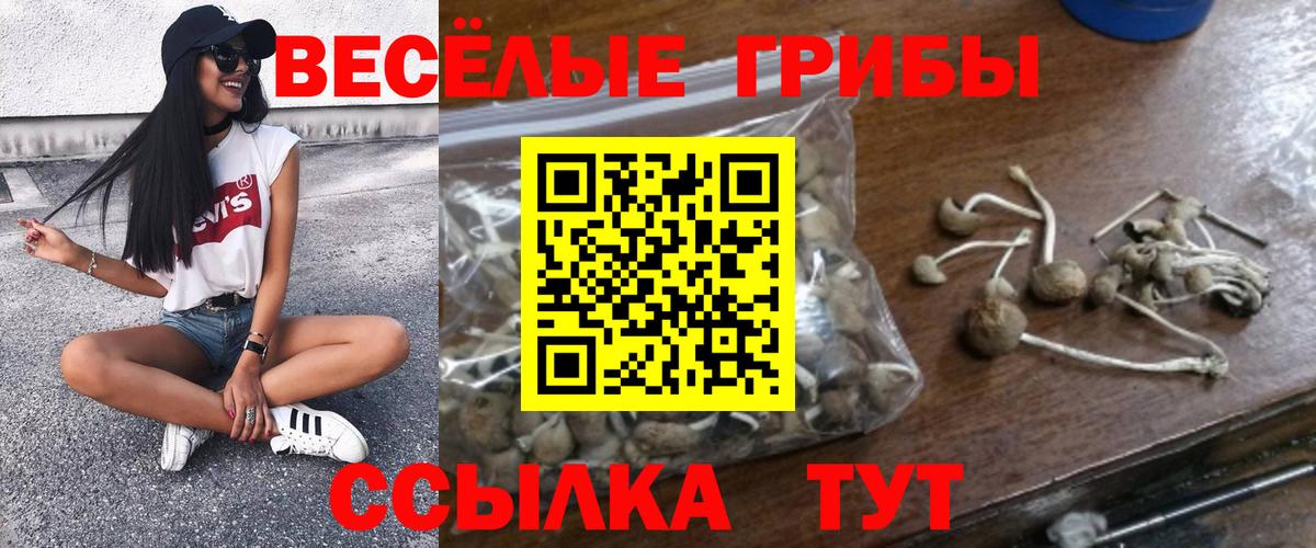 Галлюциногенные грибы Psilocybe  Вход с VPN  что такое   Калининград  Псилоцибиновые грибы ЛСД 