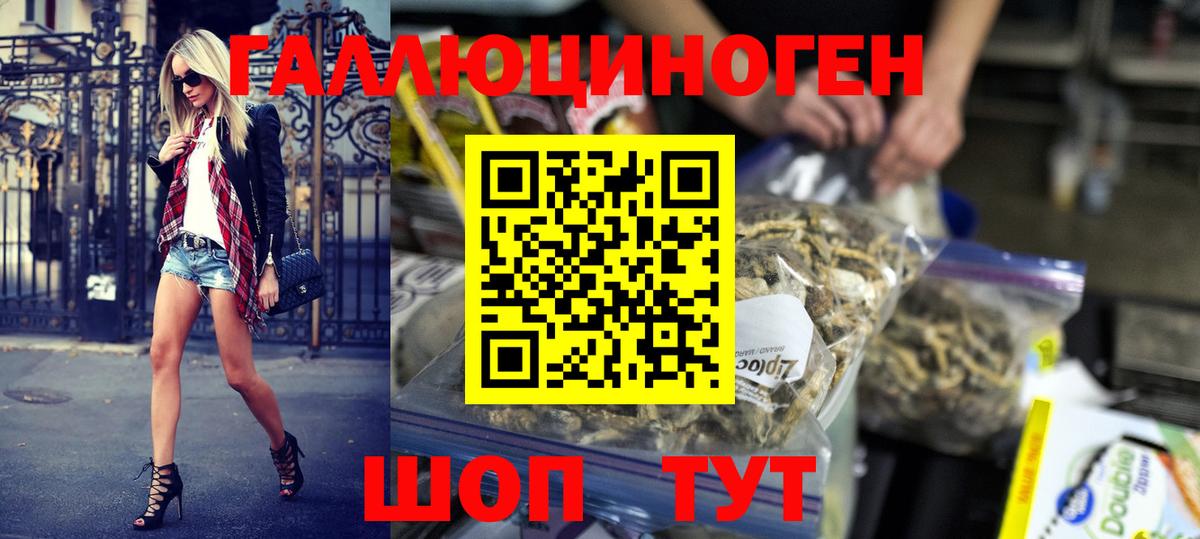Галлюциногенные грибы Калининград